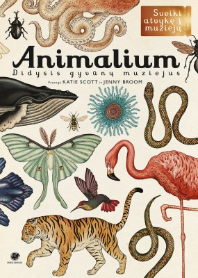Animalium_knyga_internetu_gyvunu_muziejus_big_book_didelio_formato_vaikams_vaikiska_enciklopedija_pigiau_debesu_ganyklos_terra_publica Animalium_knyga_internetu_gyvunu_muziejus_big_book_didelio_formato_vaikams_vaikiska_enciklopedija_pigiau_debesu_ganyklos_terra_publica